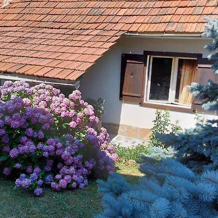 Apartman Nebojsa Rudnik Luaran gambar