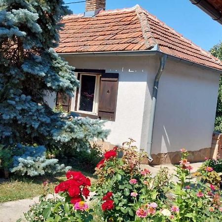 Apartman Nebojsa Rudnik Luaran gambar