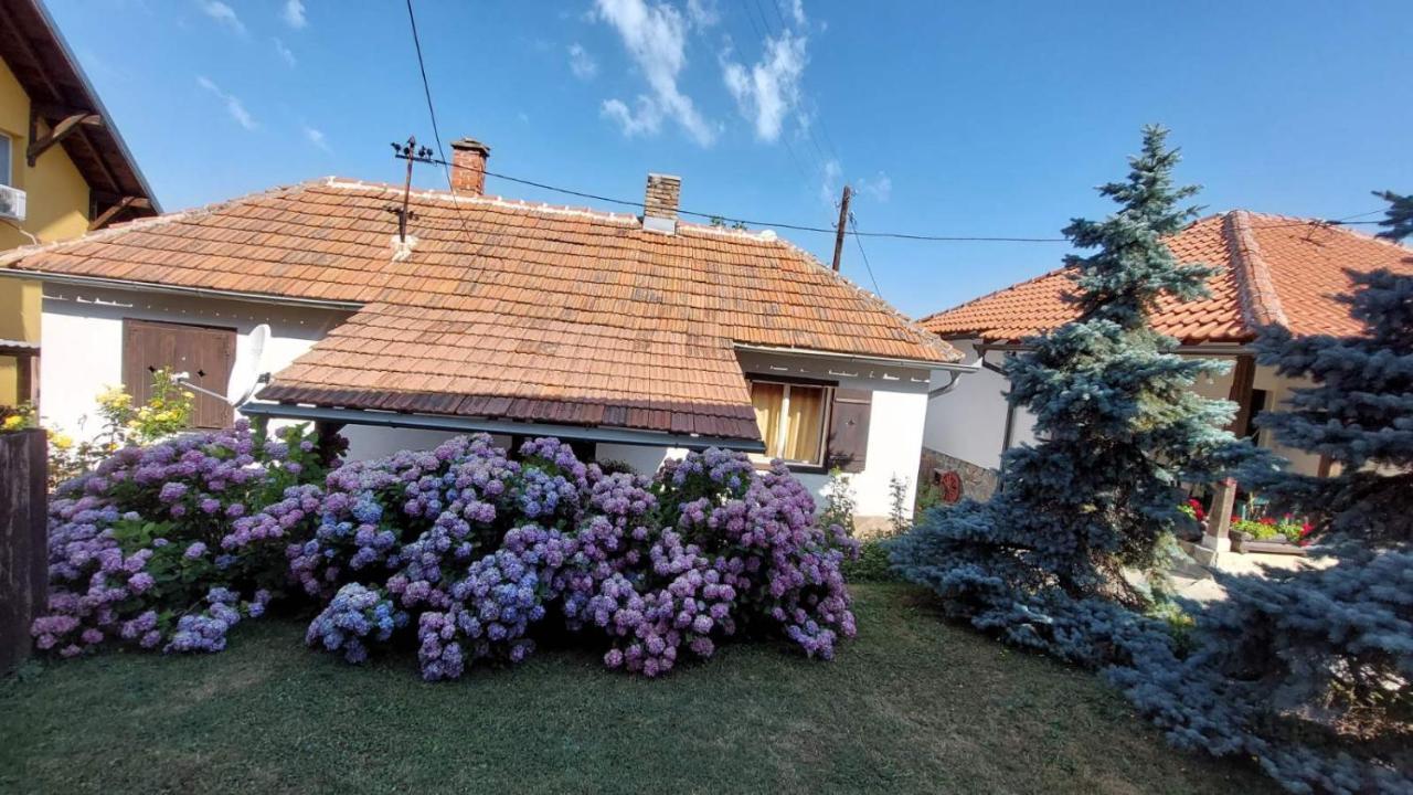 Apartman Nebojsa Rudnik Luaran gambar