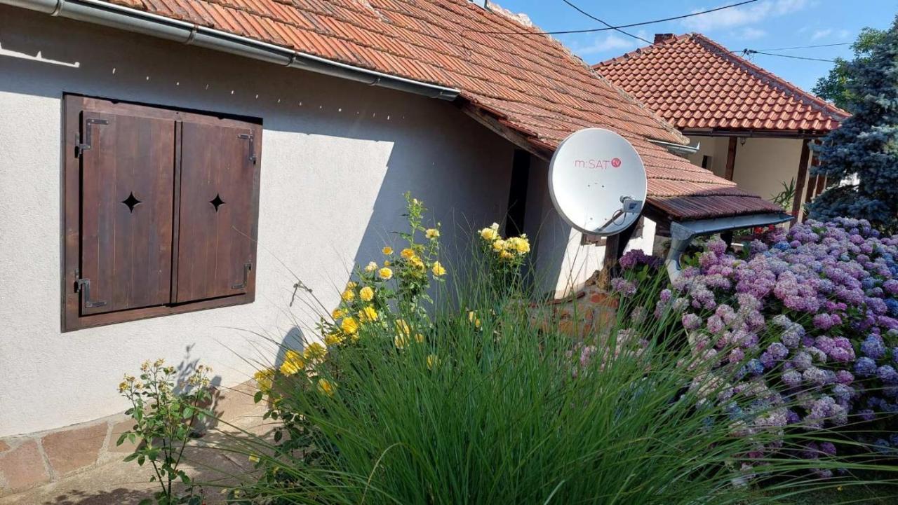 Apartman Nebojsa Rudnik Luaran gambar