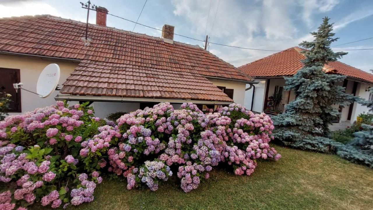 Apartman Nebojsa Rudnik Luaran gambar