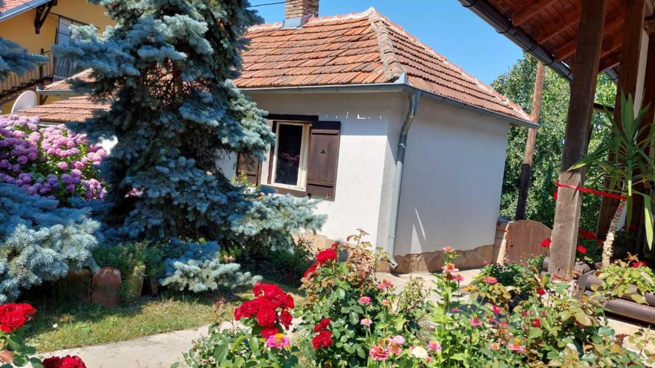 Apartman Nebojsa Rudnik Luaran gambar