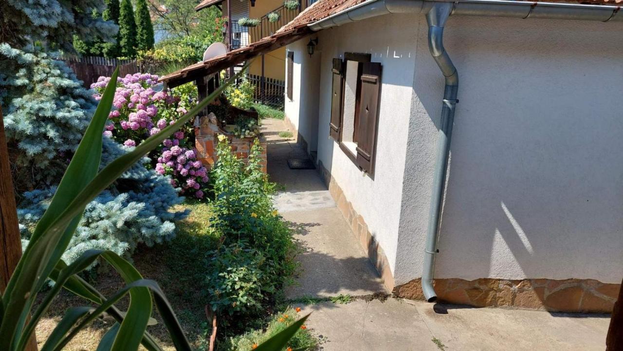 Apartman Nebojsa Rudnik Luaran gambar