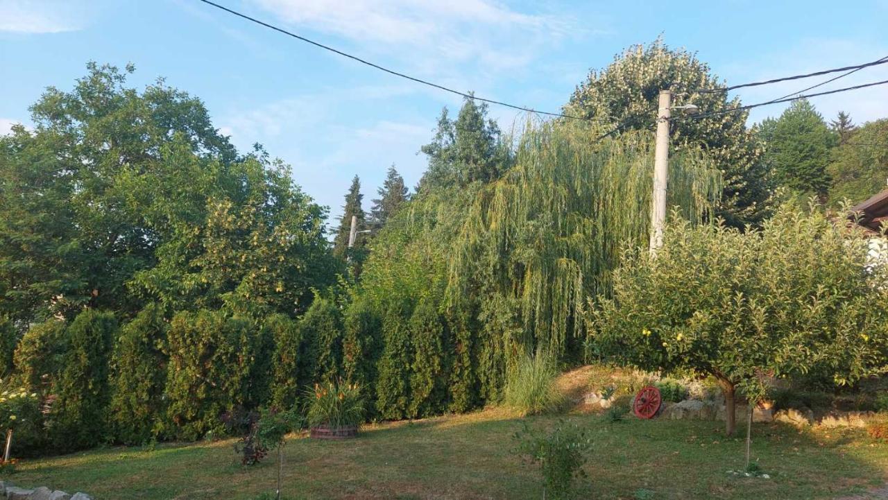 Apartman Nebojsa Rudnik Luaran gambar