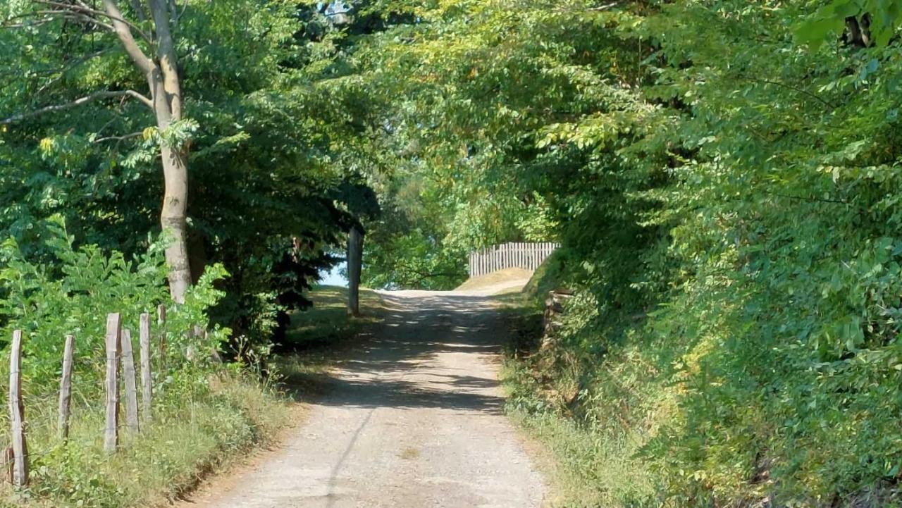 Apartman Nebojsa Rudnik Luaran gambar